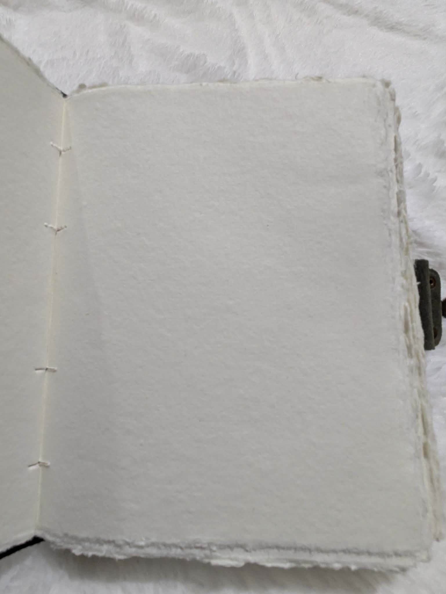 Gothic Notebooks